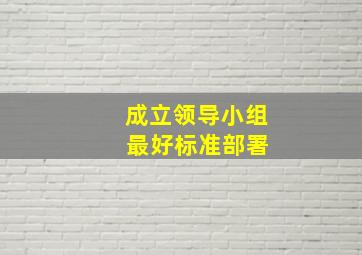 成立领导小组 最好标准部署